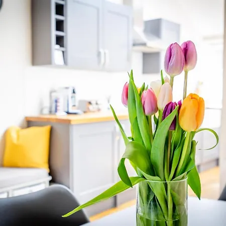 3 Darnborough Street Дом отдыха *